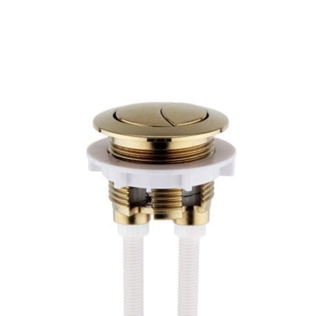 Dual Flush Button Brushed Brass